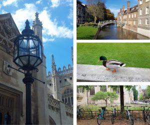 Sights & Highlights Tour of Cambridge