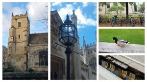 Introductory walking tour of Cambridge: a few images of Cambridge sights