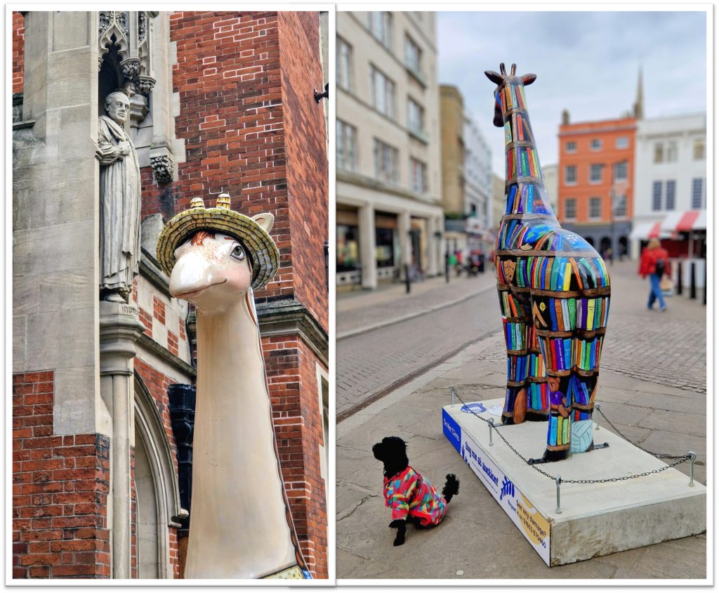Public Walking Tour "Giraffes of Cambridge" 1 Giraffes MIscellany